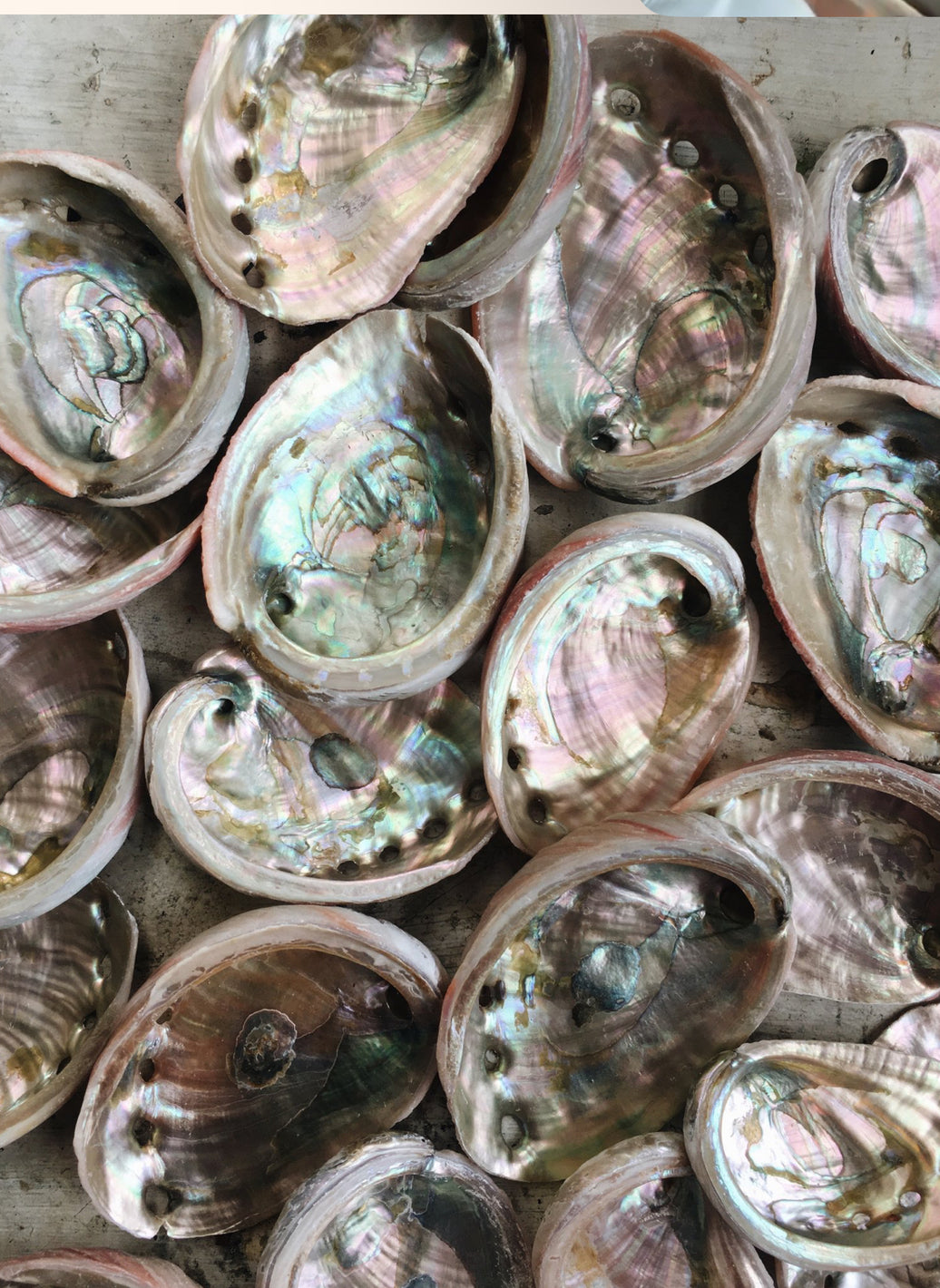 Programming Your Water for Health, Wealth, and Prosperity: The Power of Intention