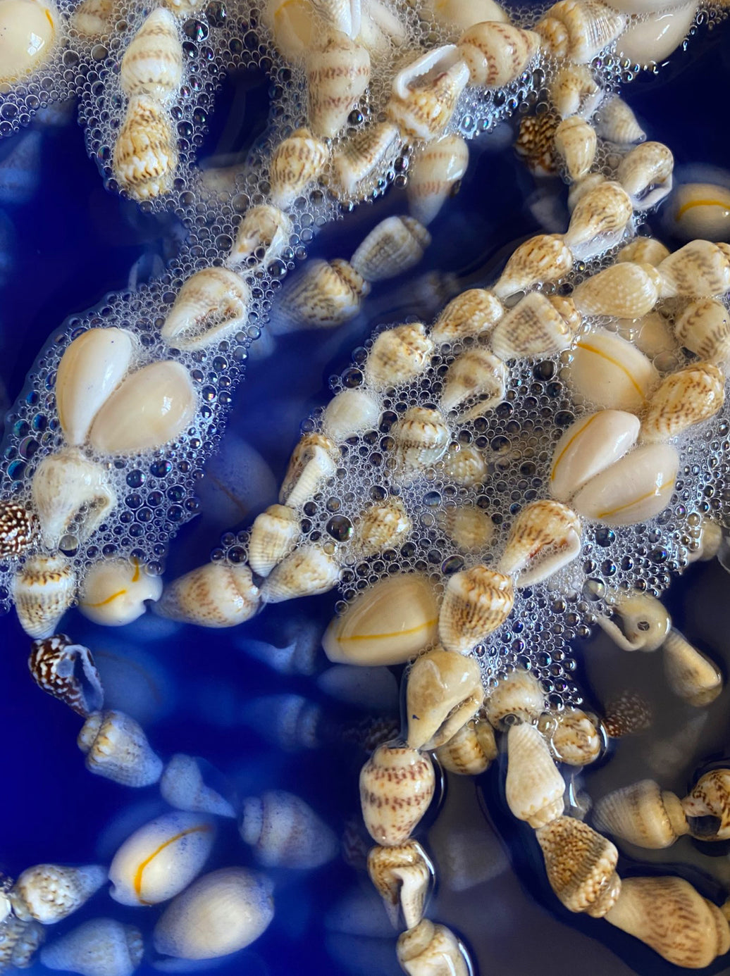 Origins and History of Blue Añil: From Laundry Blueing to Afro-Caribbean Spiritual Practices