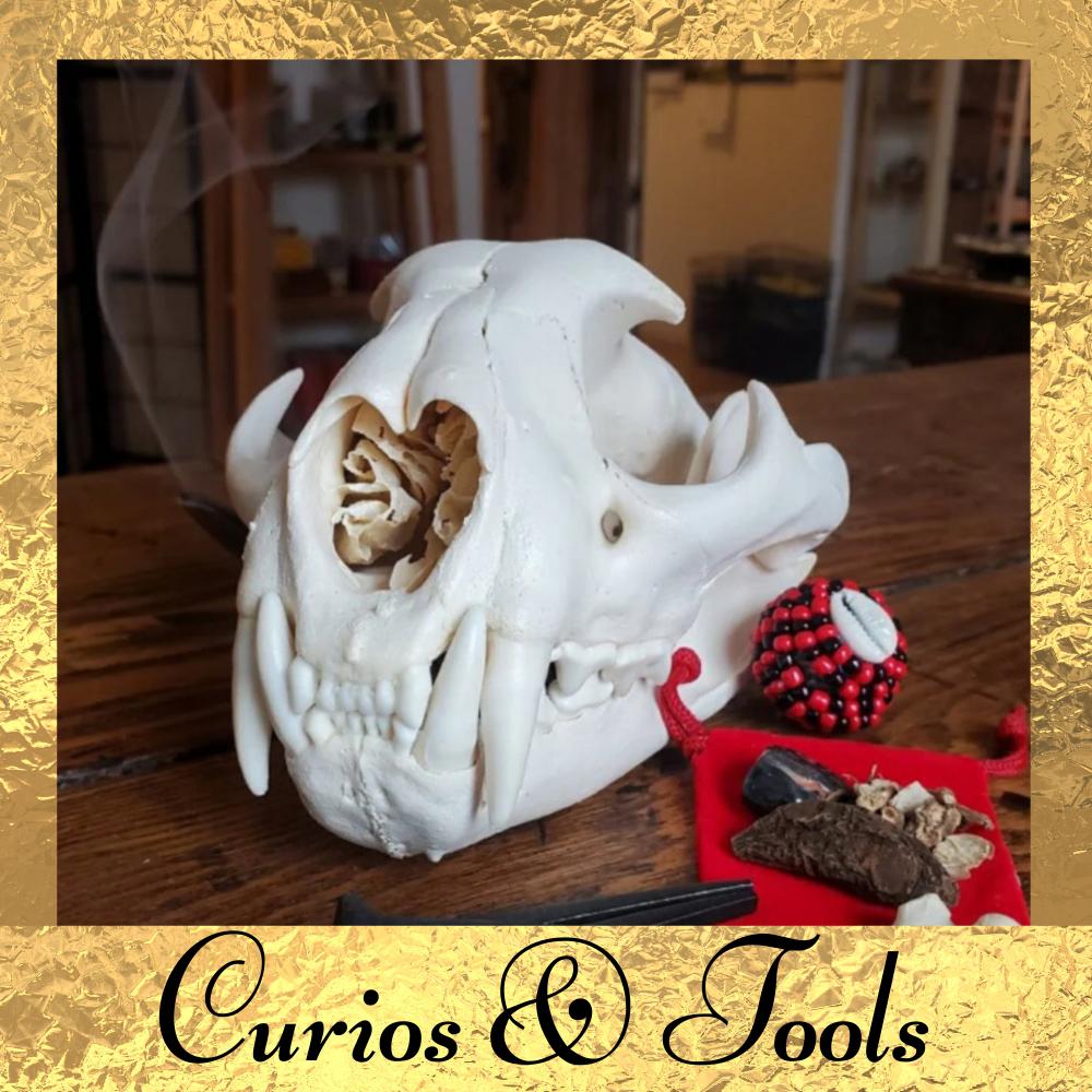 Curios & Tools