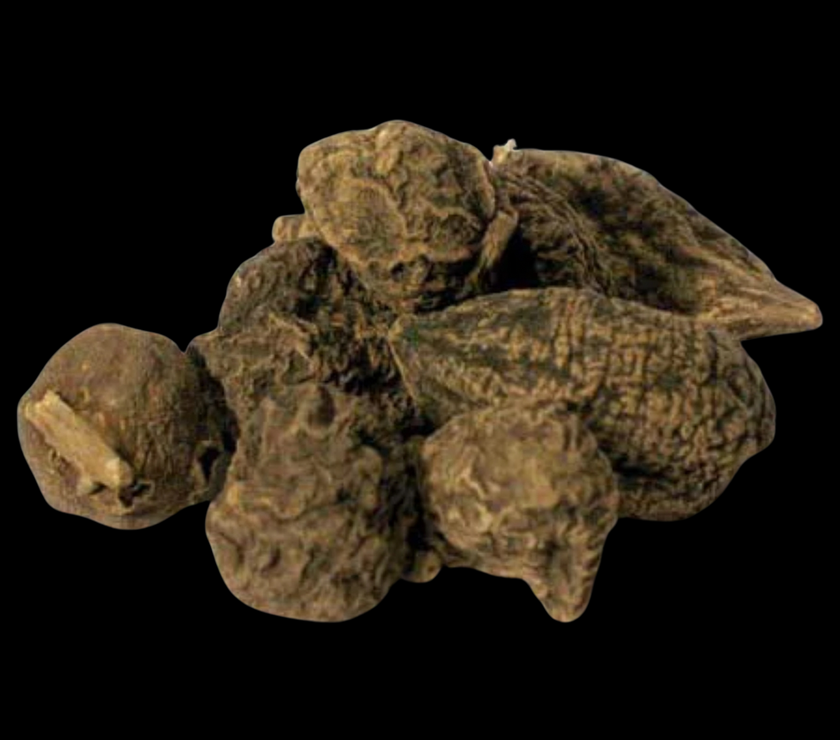 High John the Conqueror Root (whole)