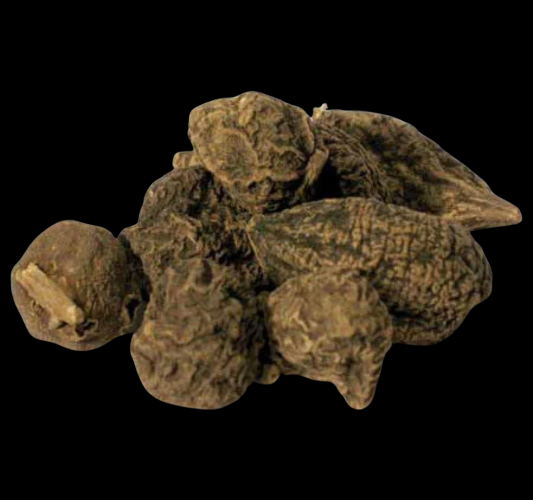 High John the Conqueror Root (whole)