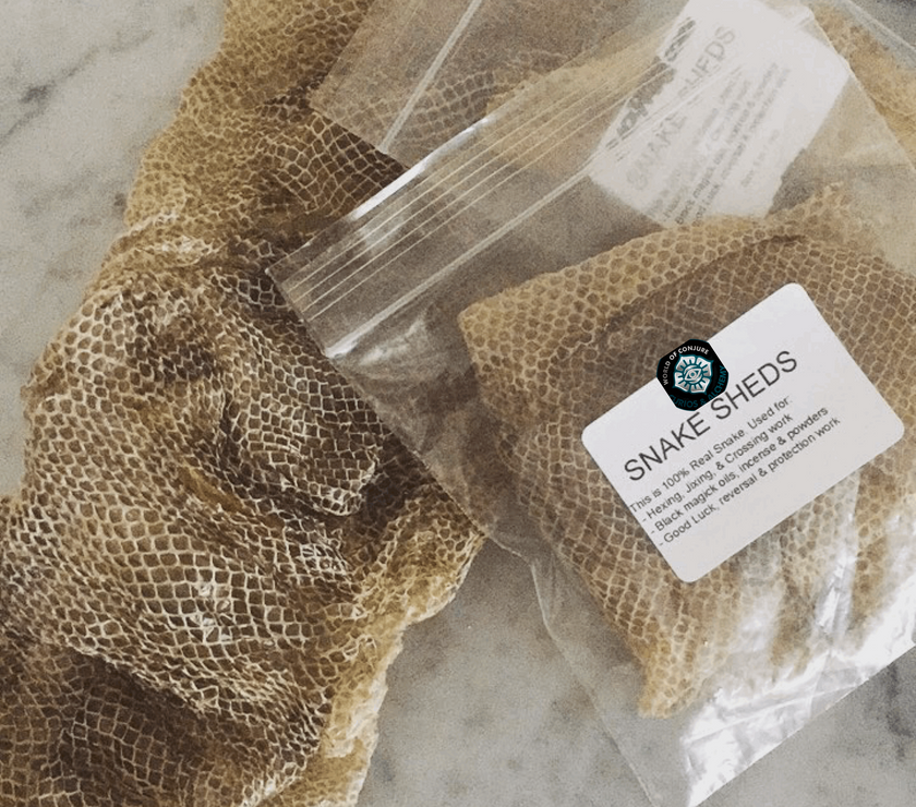 Snake Skin(Snake Sheds)